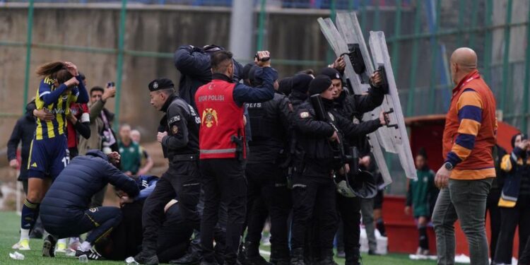 Fenerbahçe maçında çirkin saldırı, polis araya girdi
