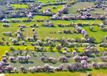 Türkiye’den Gelen Görüntü İsviçre’den Sanıldı