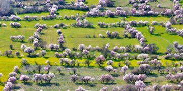Türkiye’den Gelen Görüntü İsviçre’den Sanıldı