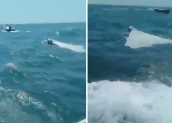 İran’dan dikkat çeken hamle: ABD İHA’sı vuruldu