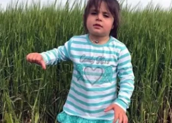 Duruşmaya gelmeyen anne zorla mahkemeye getirilecek