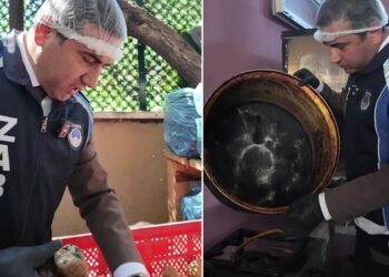 Zabıta, gördüğü manzara karşısında şaşkına döndü