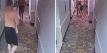 Turisti Kucağına Alıp Odaya Götürme Girişimi Şok Etti