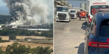 Mudanya’da tavuk çiftliğinde yangın: 12 bin tavuk telef oldu