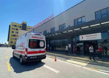 Aydın’da trafik ışıklarında satış yapan kadın öldü