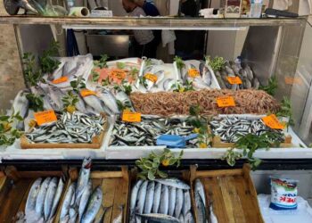 Av yasağı öncesi Karadeniz’de balık bolluğu: Palamut 80 TL, hamsi 500 TL