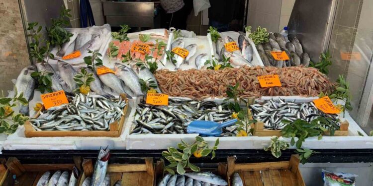 Av yasağı öncesi Karadeniz’de balık bolluğu: Palamut 80 TL, hamsi 500 TL