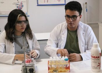 Babaannesinin yatak yaraları ilham verdi! Liseli öğrenciler tarantula zehrinden yara jeli geliştirdi